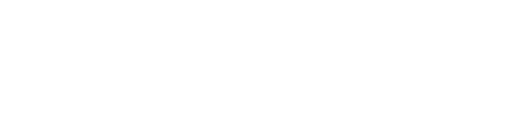 La Palmese di Vecchione Pietro